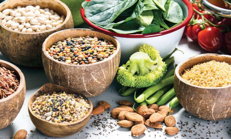 The Immune System Importance
