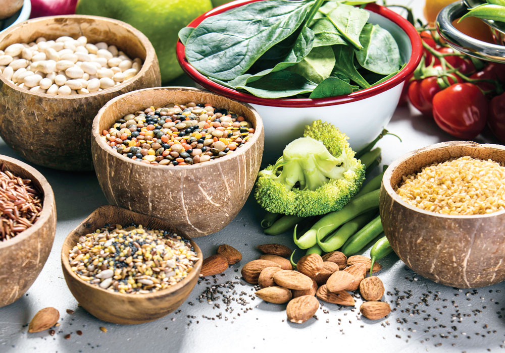 The Immune System Importance