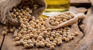 Soybean