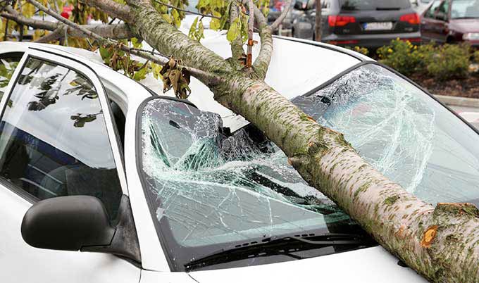 car removal sydney