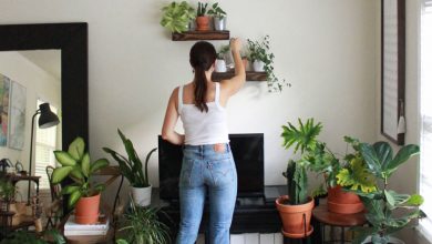 plants