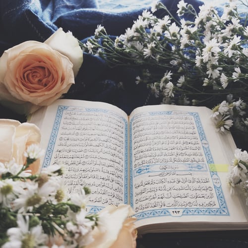 learn quran online