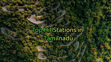 Top Hill Stations to Visit in Tamil Nadu