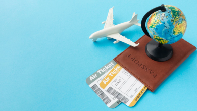 Immigration Consultant in Chandigarh
