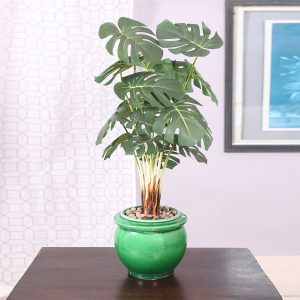 artificial plants