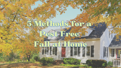 pest free