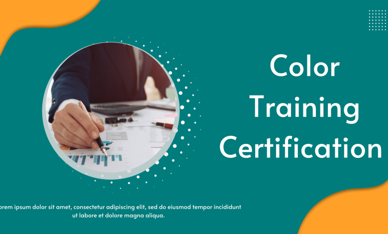 Color Training Certification - How to Choose the Right Program for You