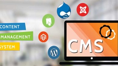 CMS web designing