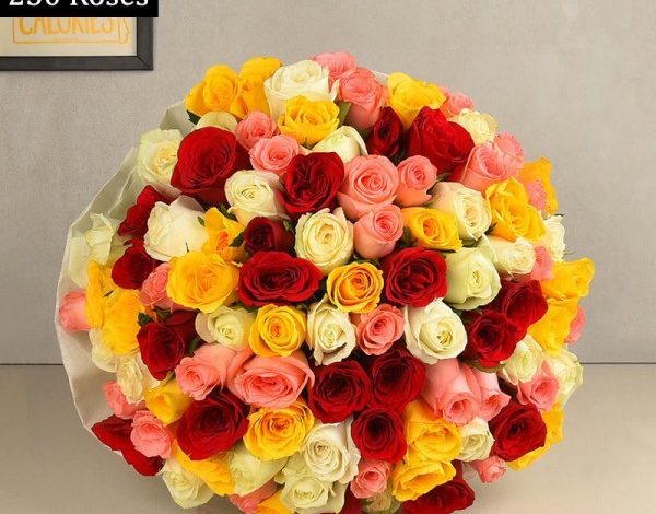 Flower Delivery In Noida