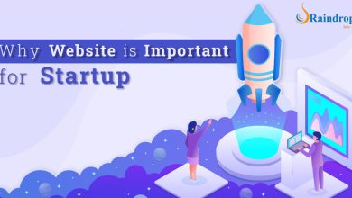 Why Startups Need a Website ?